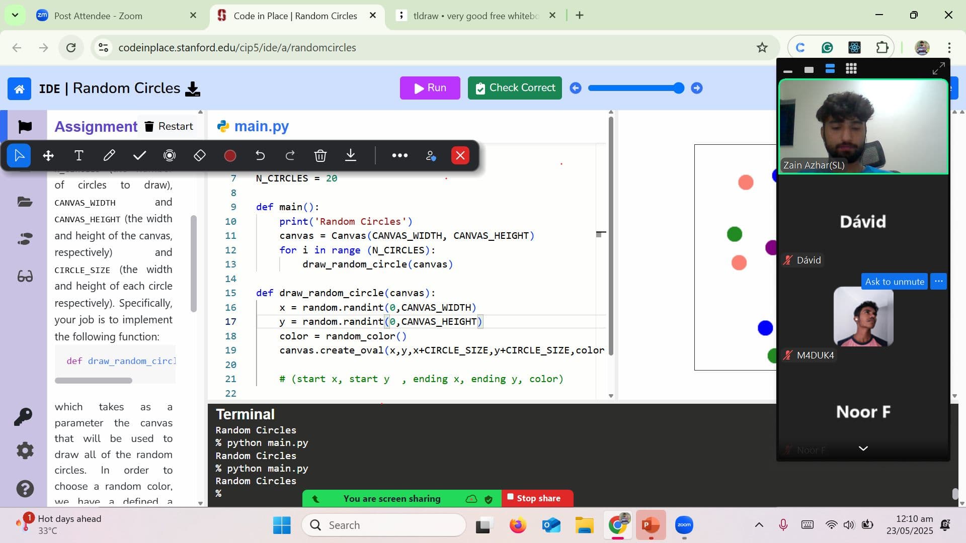 Section Leader, Code in Place proof